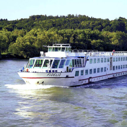 Crucero Navidad Fidelio